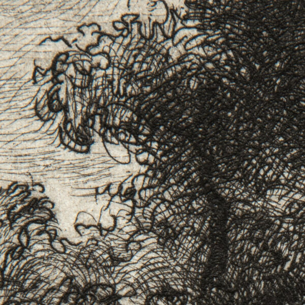 rydlinski-lake-tree-etching-cu3-web