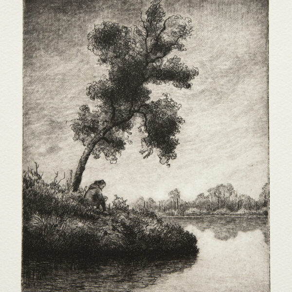 rydlinski-lake-tree-etching-hero-web